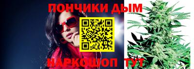 шишки Изобильный