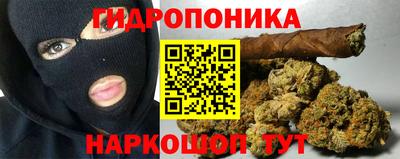шишки Изобильный