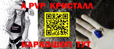 шишки Изобильный